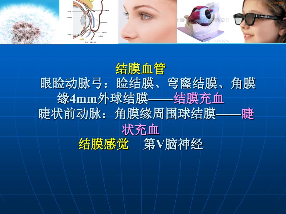 结膜炎眼科.ppt_第4页