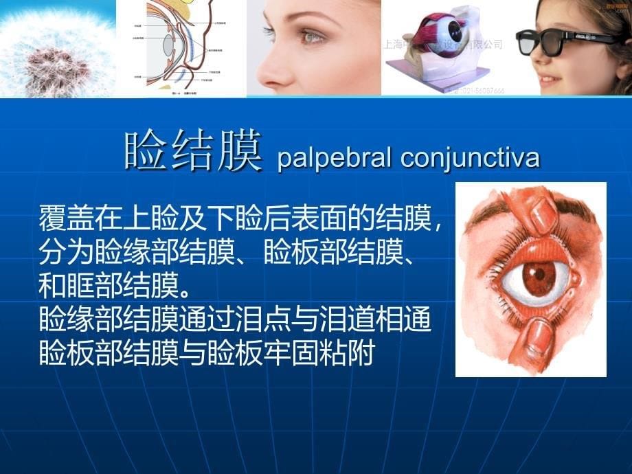 结膜炎眼科.ppt_第5页