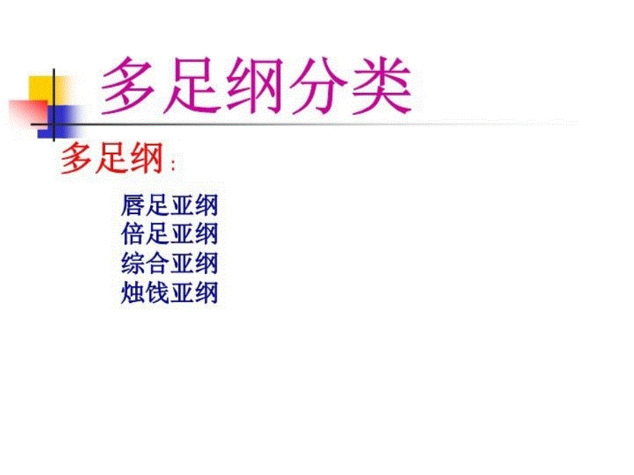 最新多足纲1PPT课件_第3页