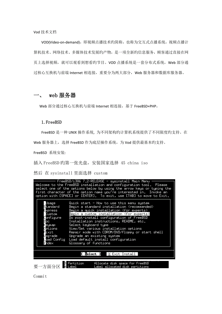Vod重点技术文档_第1页