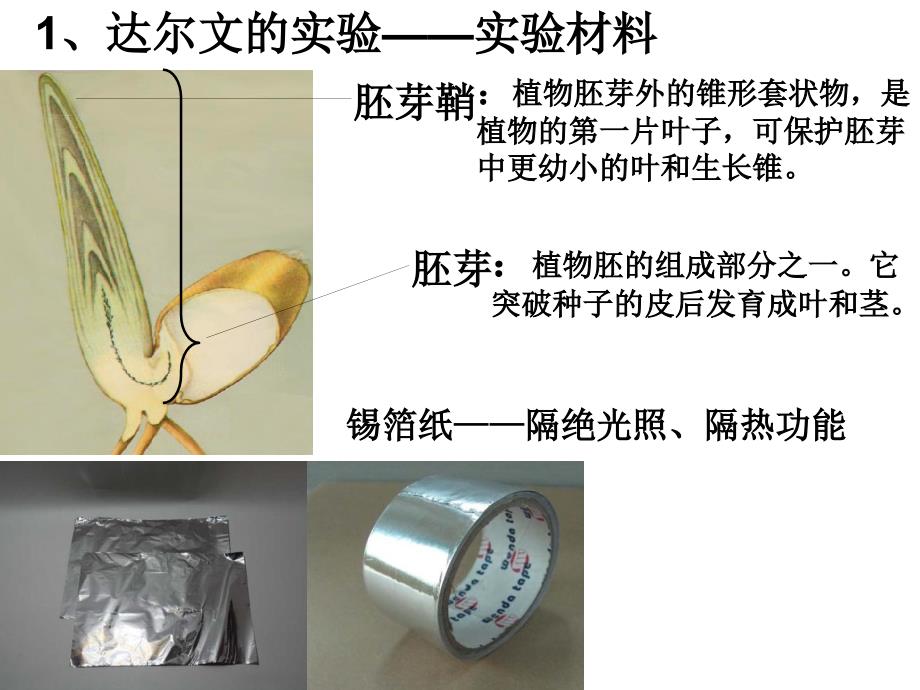 高中生物必修三第三章第一节_第4页