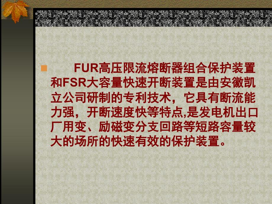 用于大型同步发电机出口及厂用变和励磁变分支的大容量快速_第2页