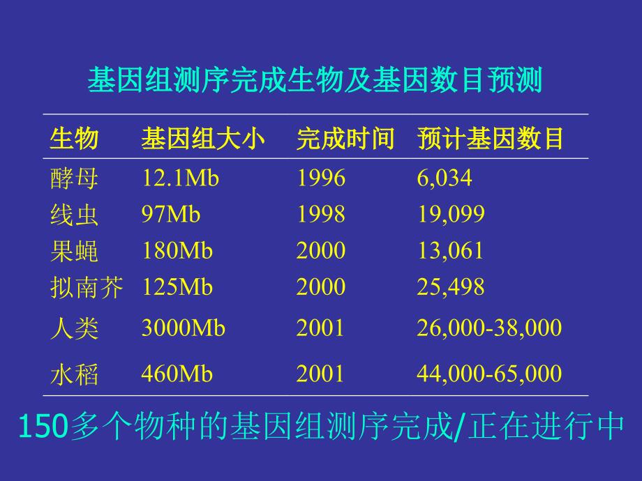 生物信息学及其相关数据库_第4页