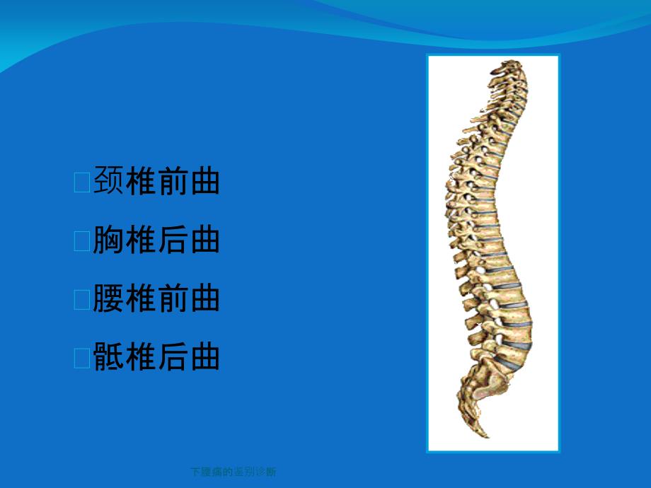 下腰痛的鉴别诊断ppt课件_第4页