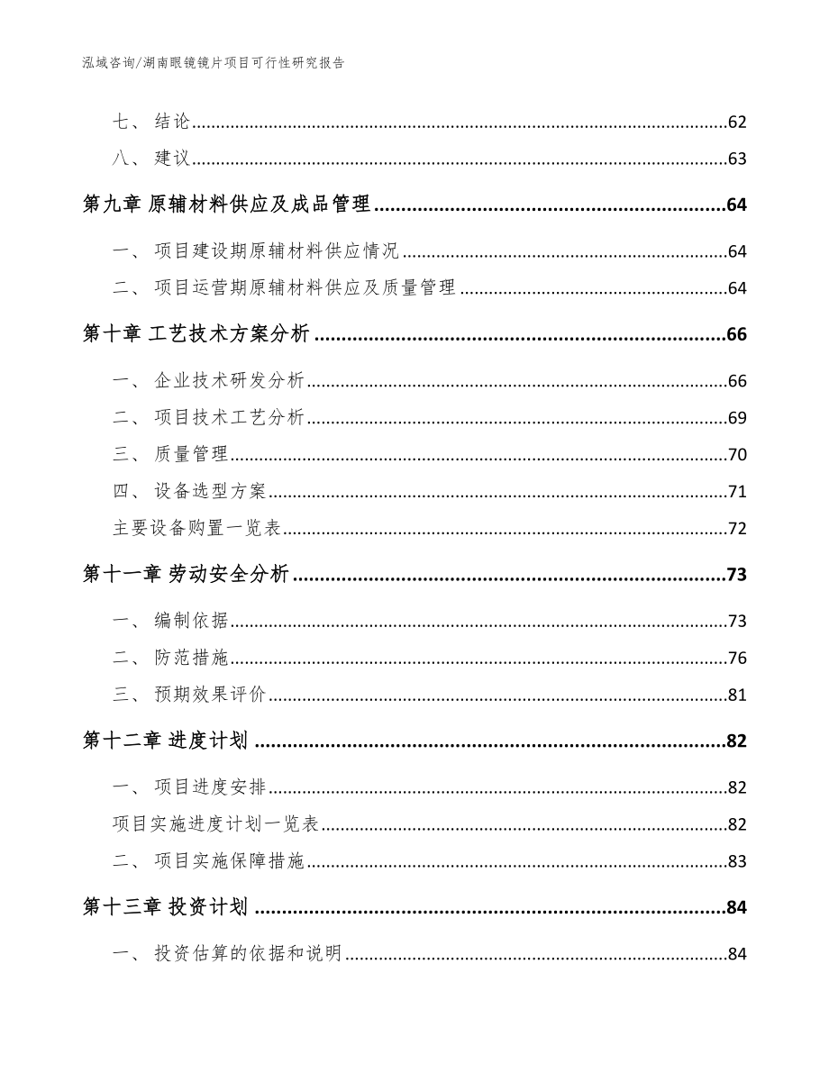 湖南眼镜镜片项目可行性研究报告（模板范本）_第4页