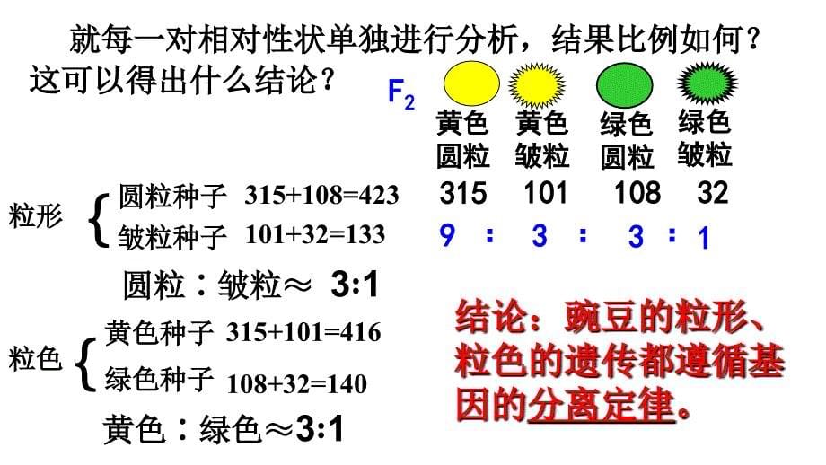 必修二1.2孟德尔杂交实验二_第5页