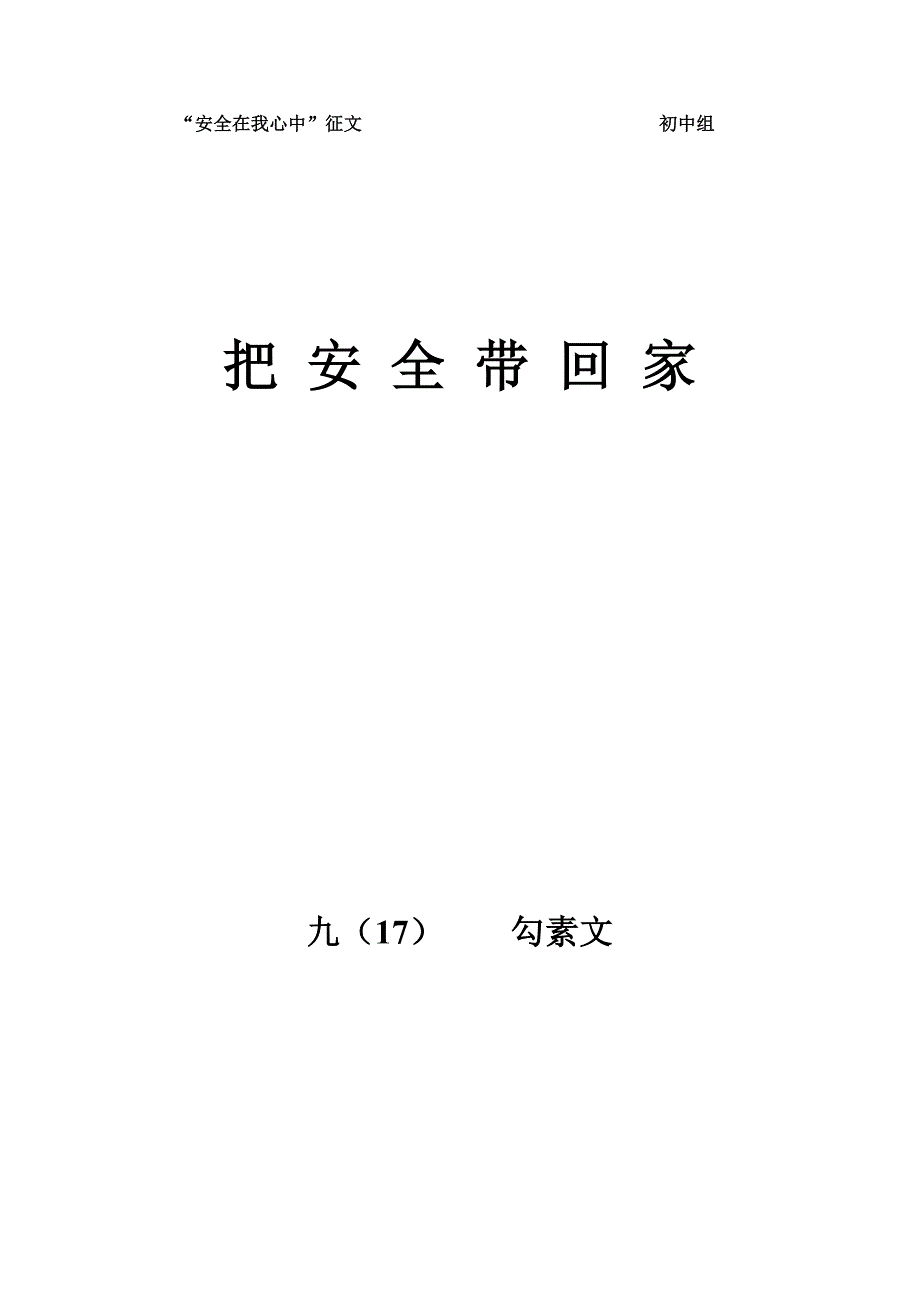 我把安全带回家 .doc_第4页