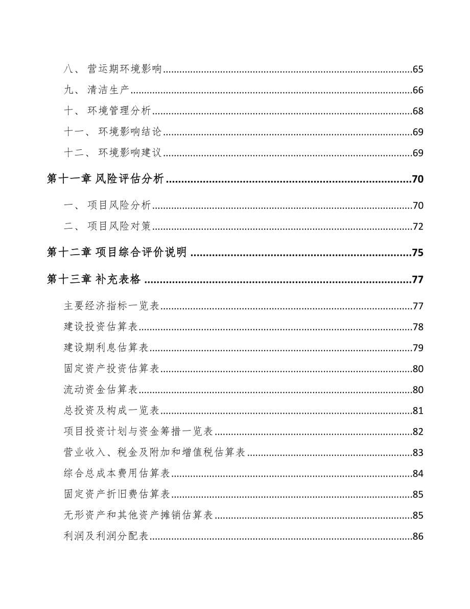 广西高电压试验设备项目可行性研究报告_第5页