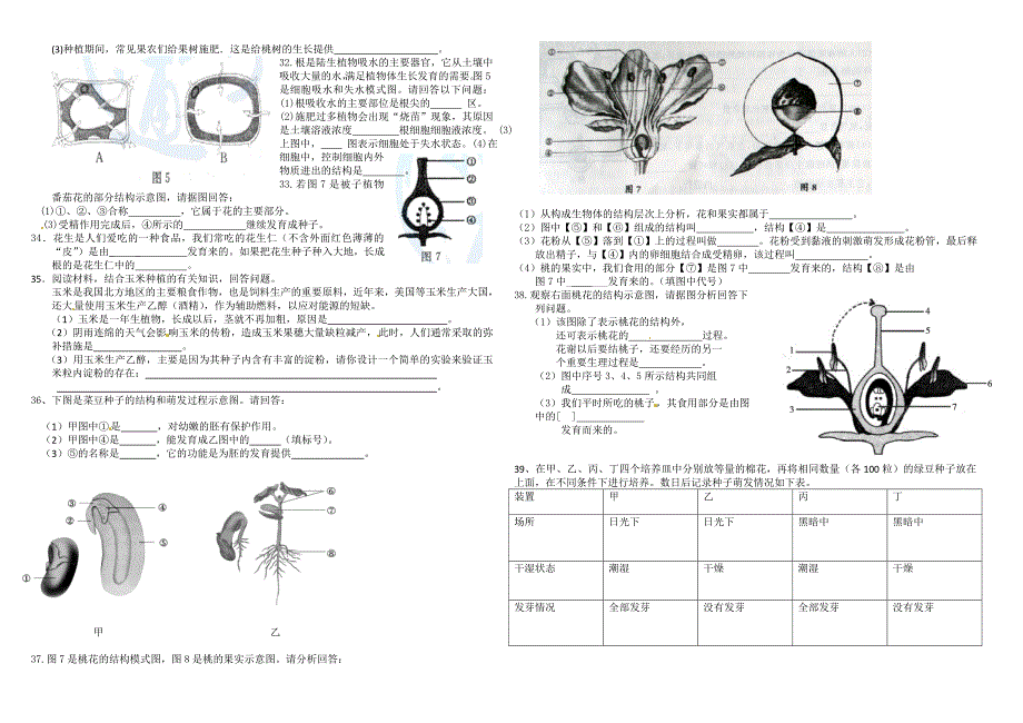 2011中考生物专项训练--被子植物的一生.doc_第2页