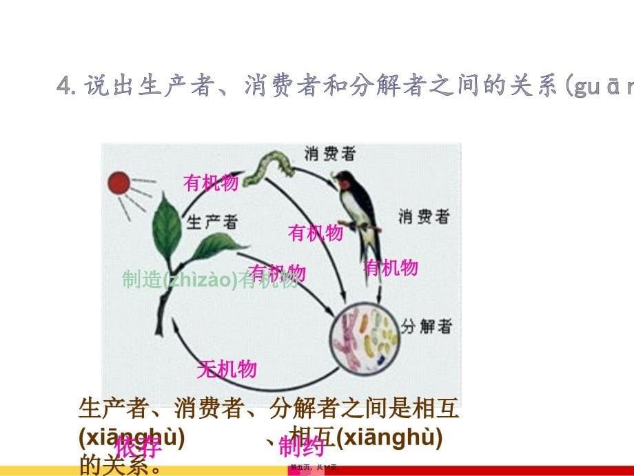 人教版生物中考复习主题三生物与环境培训讲学_第5页