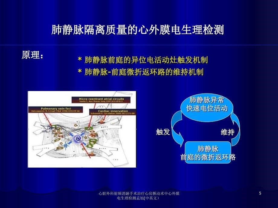 心脏外科射频消融手术治疗心房颤动术中心外膜电生理检测孟旭中英文课件_第5页