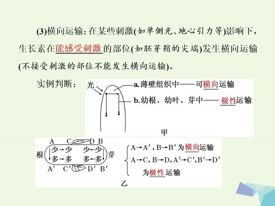 通用版2017届高考生物二轮复习第一部分专题三稳态系统第3讲植物生命活动的调节系统课件_第5页