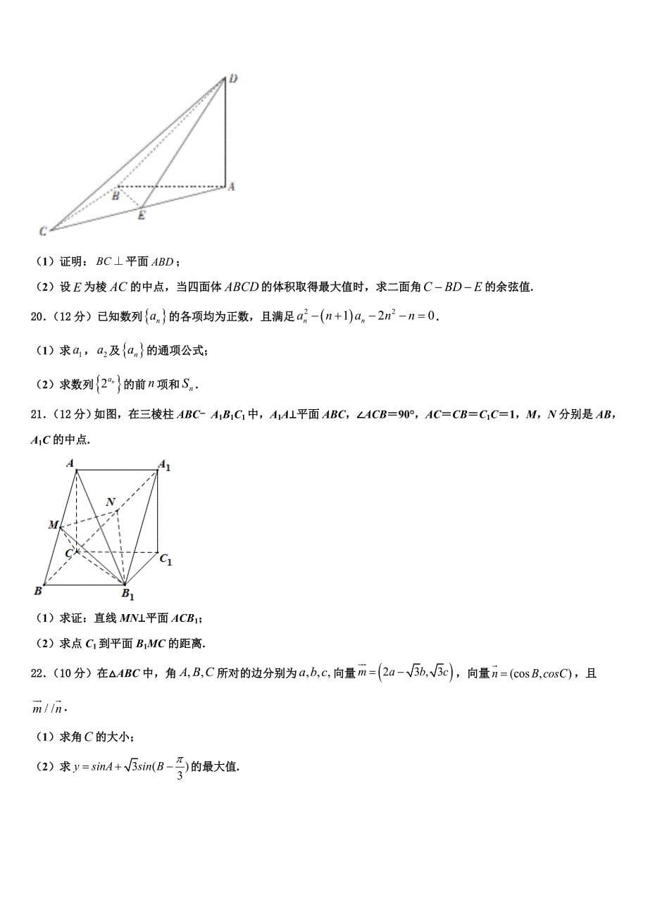 荆州市重点中学2023年高三适应性调研考试数学试题（含答案解析）.doc_第5页