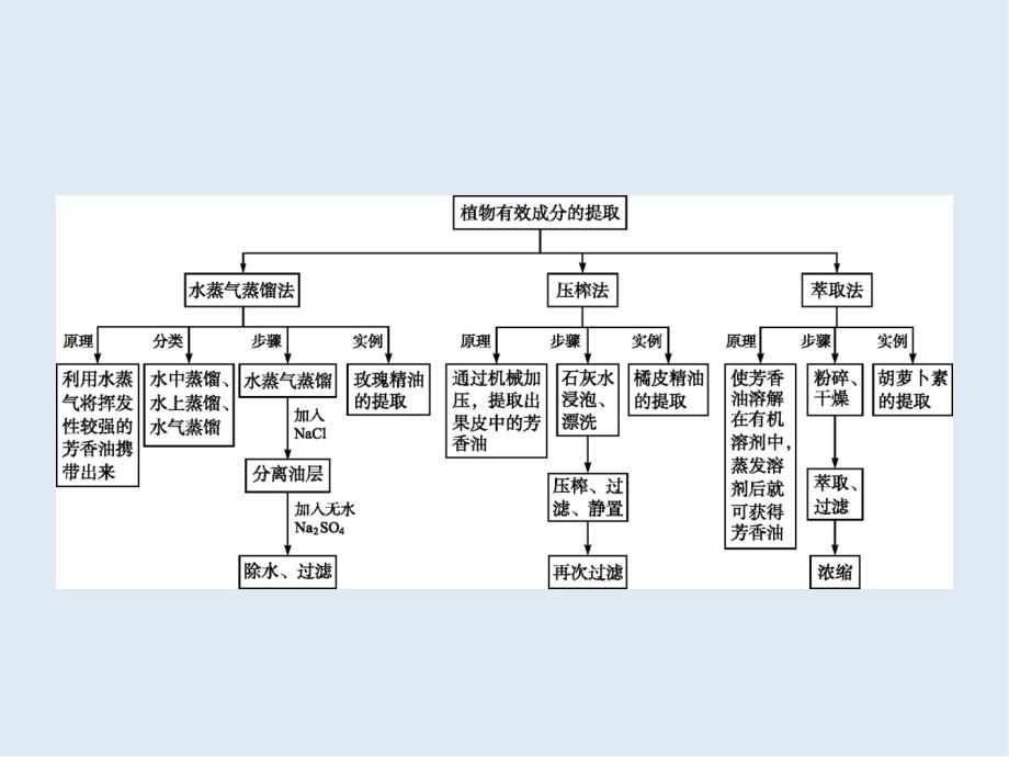 高中生物选修一人教版 课件：专题6 植物有效成分的提取_第2页