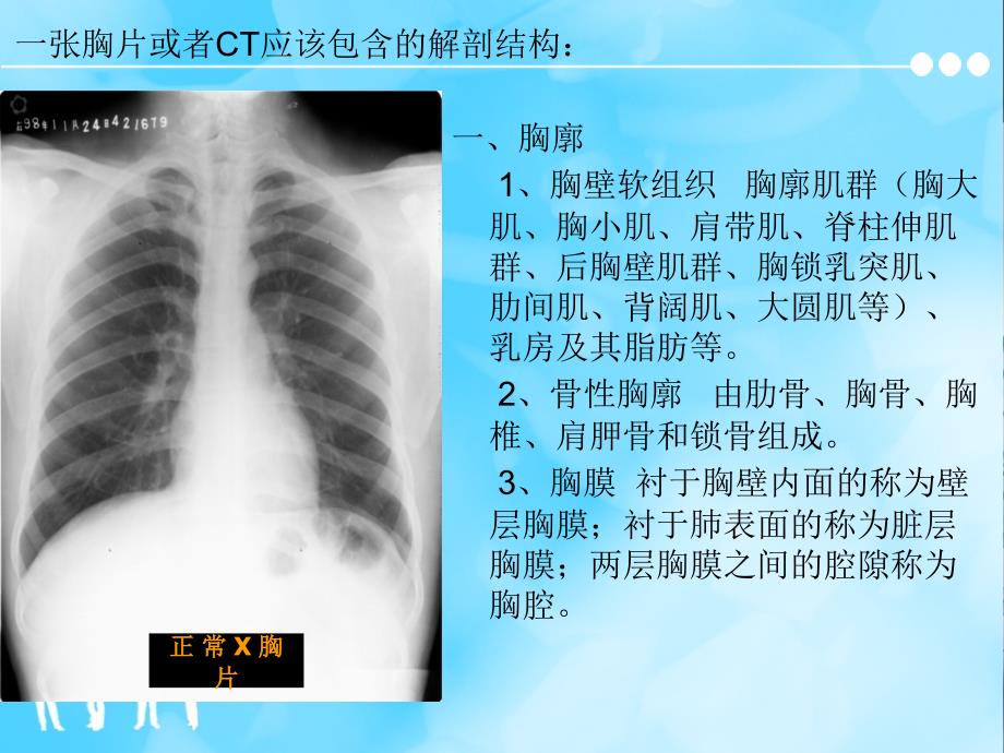 胸片及胸部CT的阅读内容及肺段定位_第2页