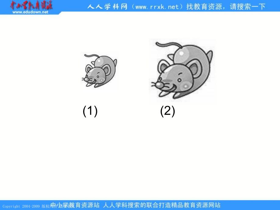 人教课标版三年下面积和面积单位课件4_第3页