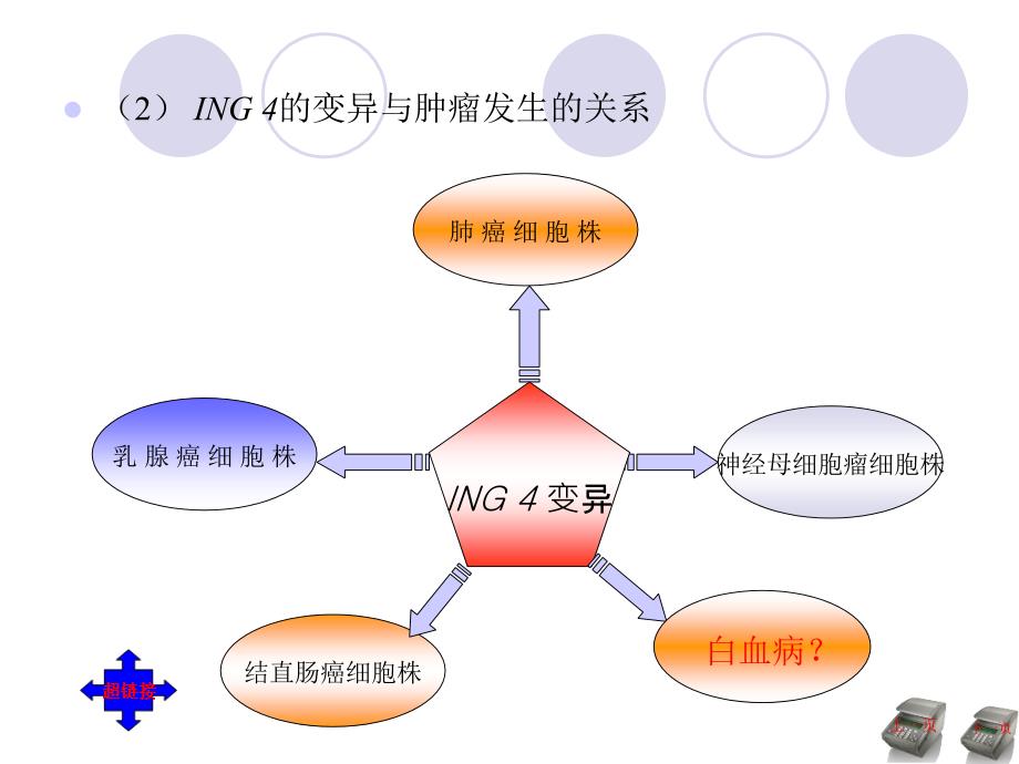 医学业答辩幻灯片样板_第3页