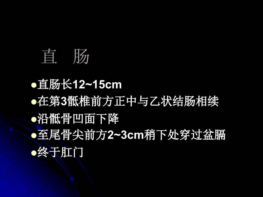 直肠肛管解剖PPT课件_第2页