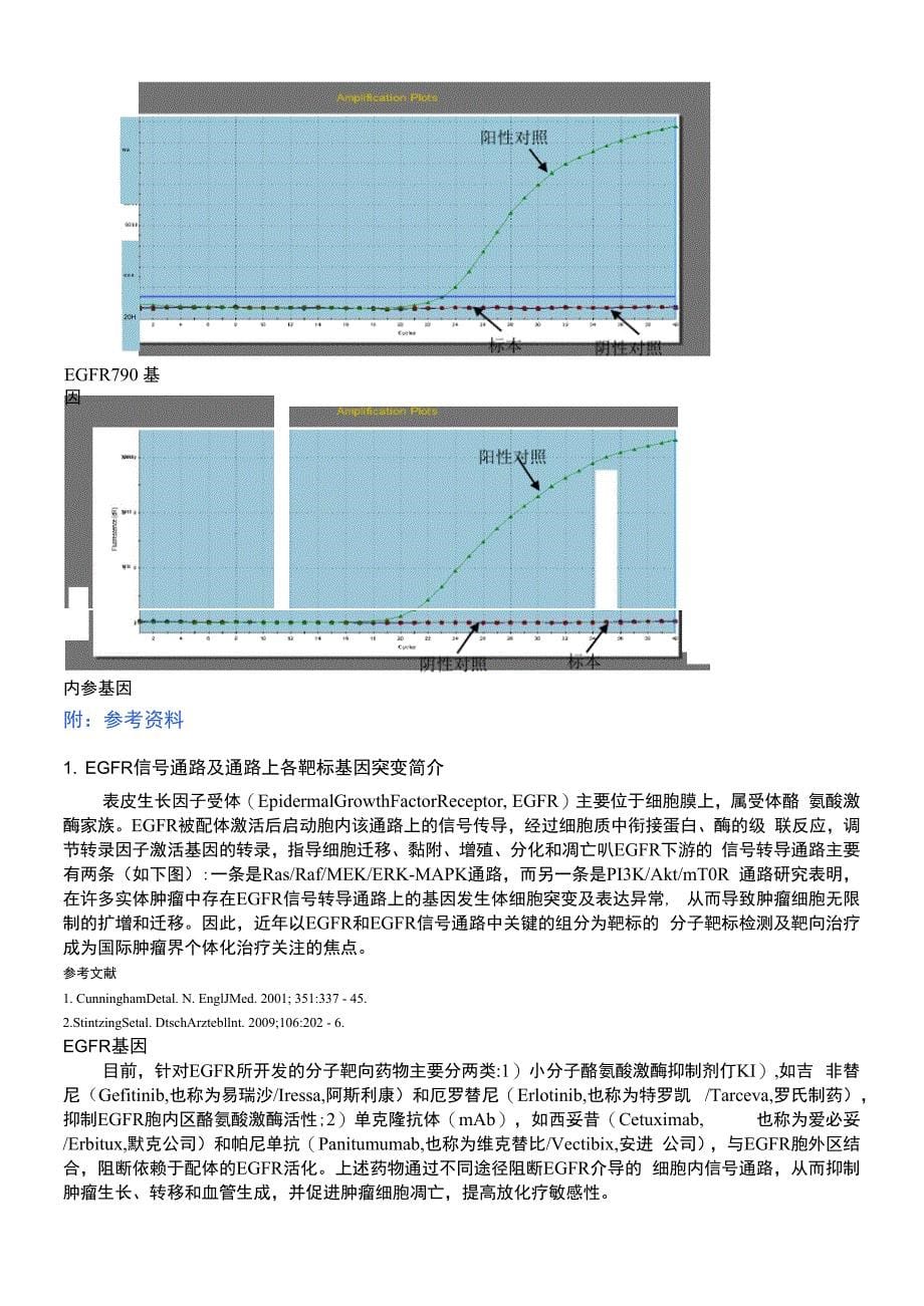 基因检测分析报告_第5页