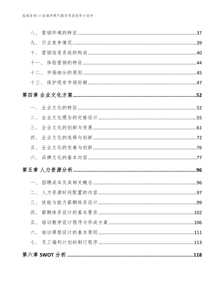 六安城市燃气服务项目投资计划书_第4页