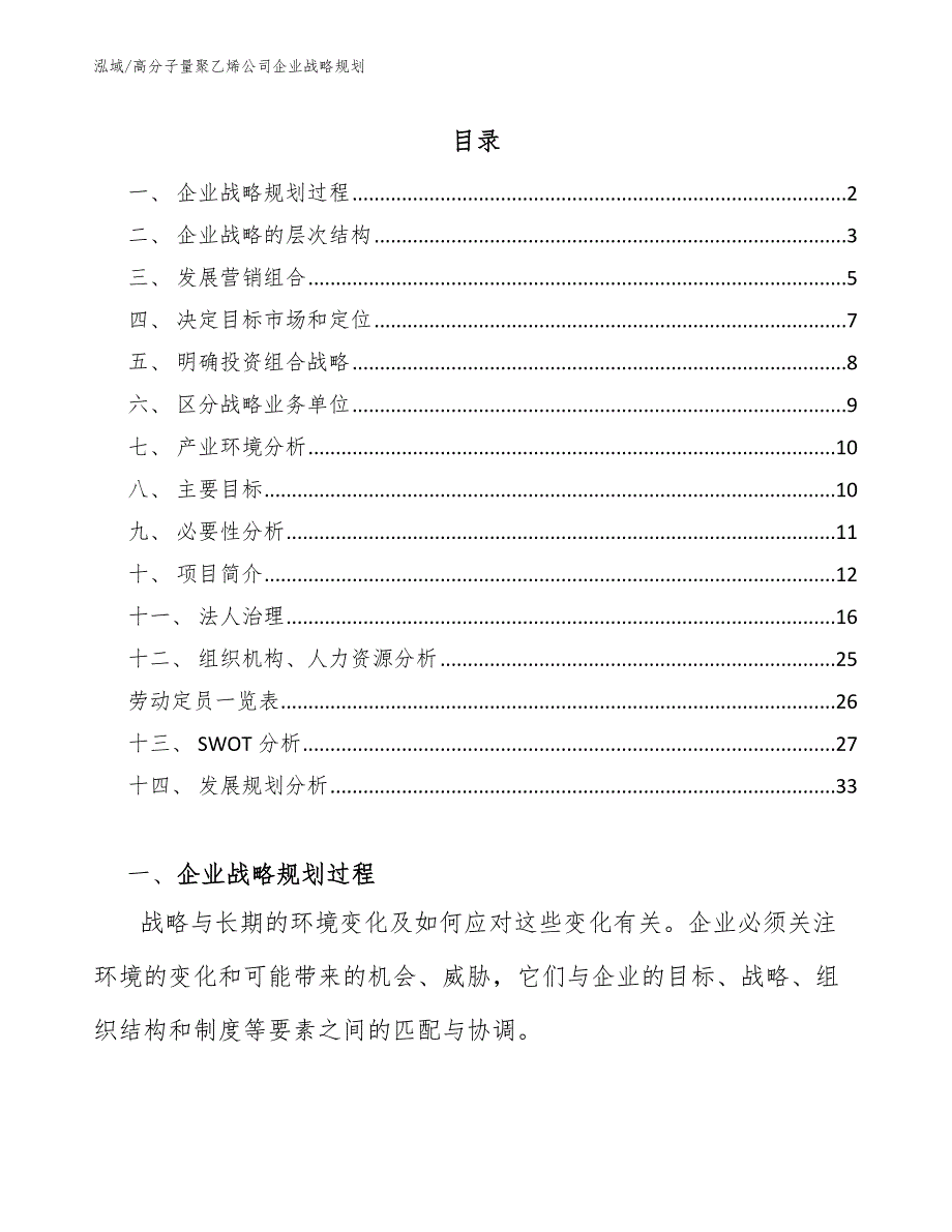 高分子量聚乙烯公司企业战略规划【范文】_第2页