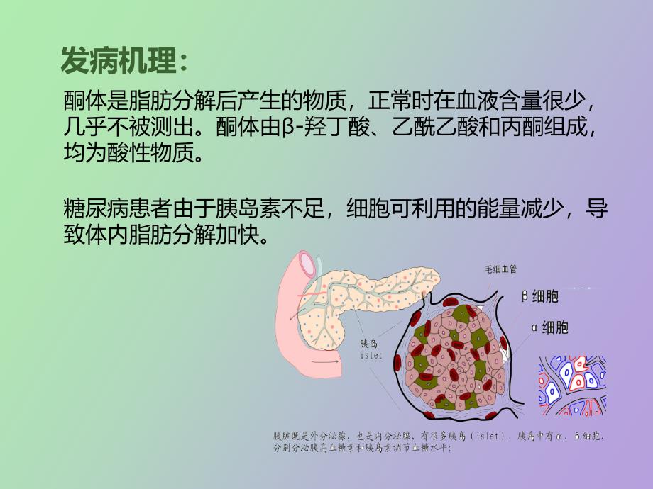 糖尿病酮症酸中毒病人护理查房_第4页