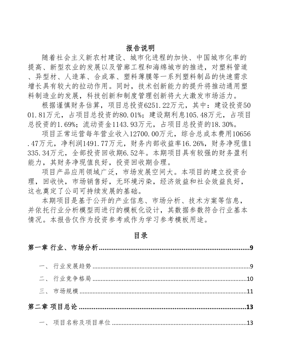 宿迁PP片材项目可行性研究报告(DOC 91页)_第2页