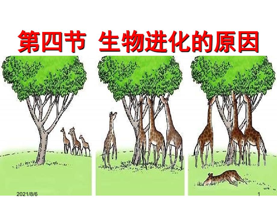 经典：八年级生物下册第七单元第三章第三节-生物进化的原因幻灯片_第1页