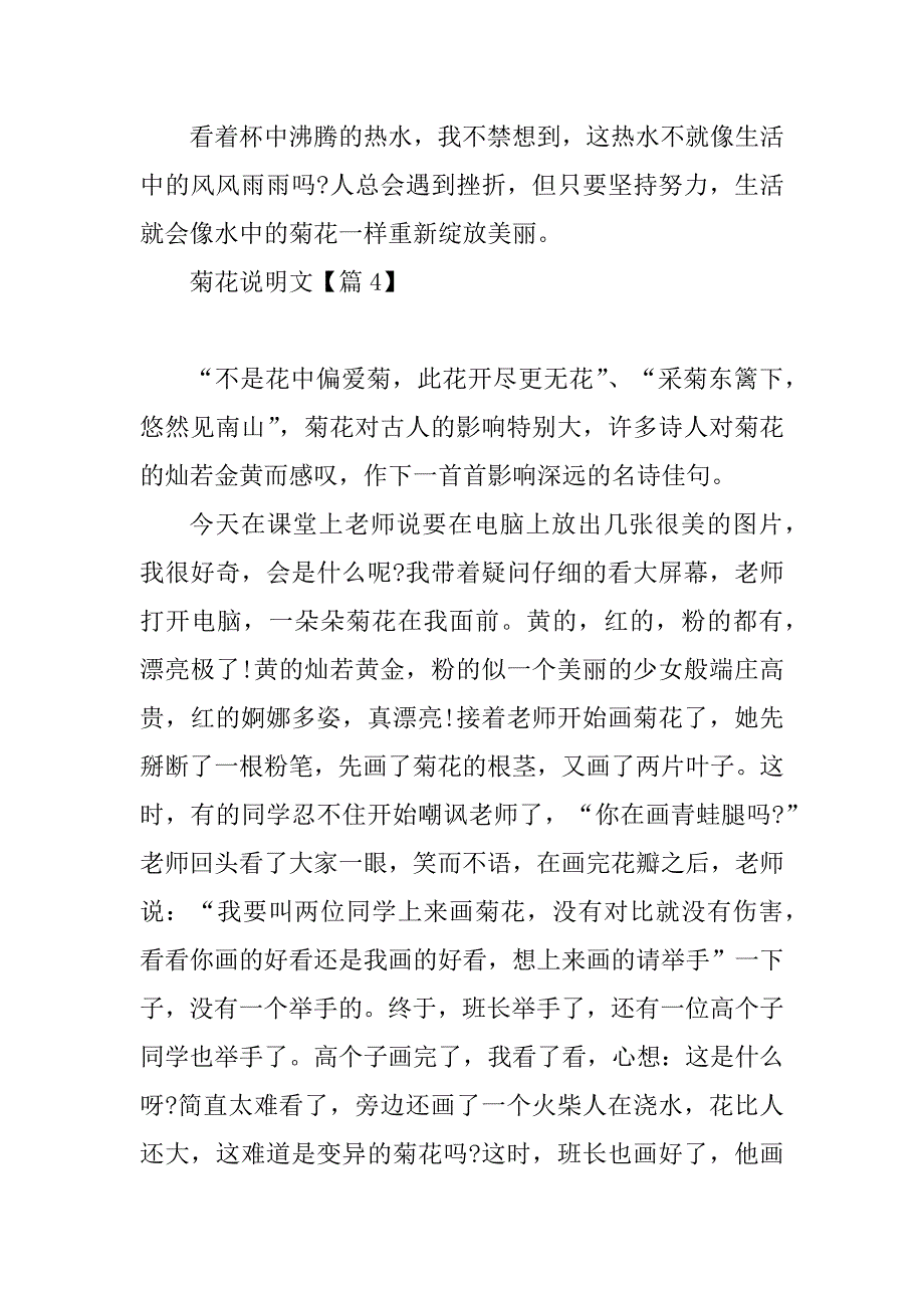 2023年菊花说明文500字11篇_第4页