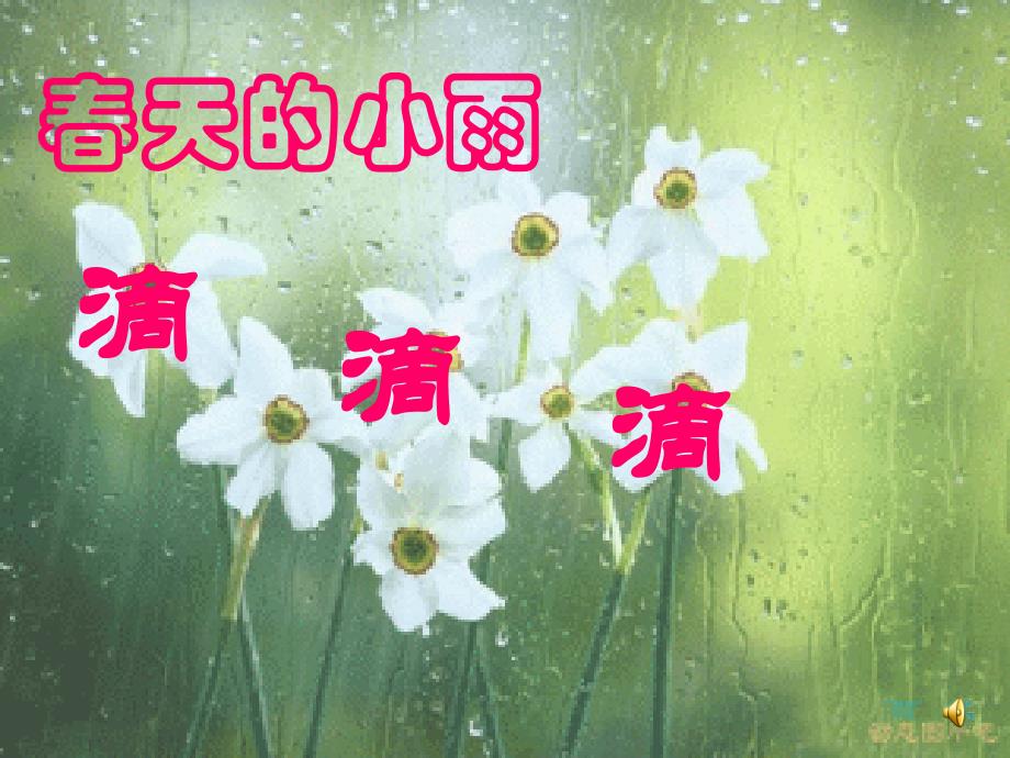 小学语文三年级下册《春天的小雨滴滴滴》课件_第4页