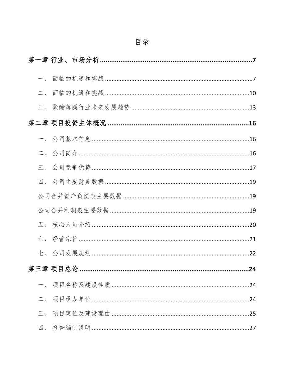 东莞功能膜项目可行性研究报告_第2页