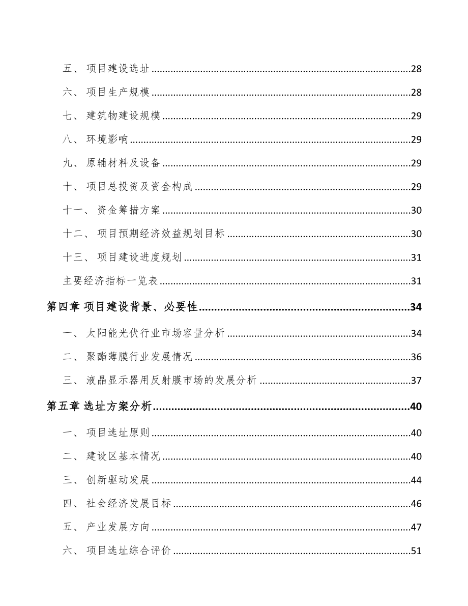 东莞功能膜项目可行性研究报告_第3页