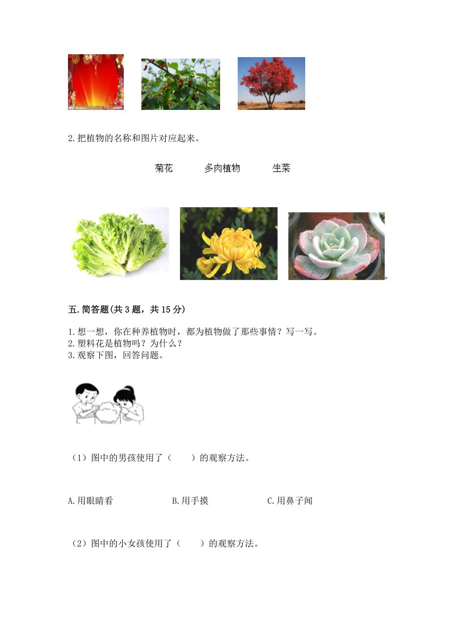 教科版科学一年级上册第一单元《植物》测试卷附答案(模拟题).docx_第3页