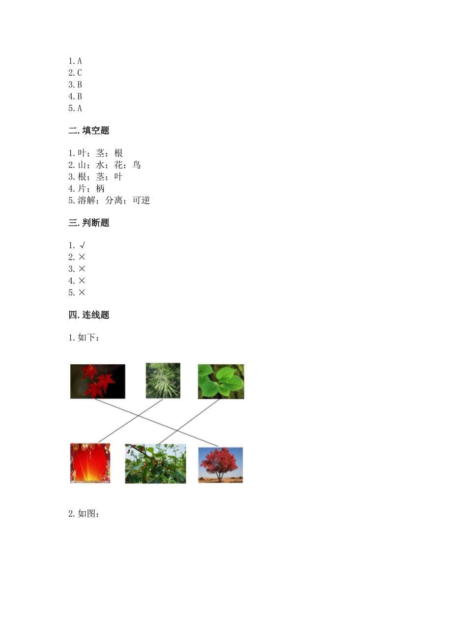 教科版科学一年级上册第一单元《植物》测试卷附答案(模拟题).docx_第5页