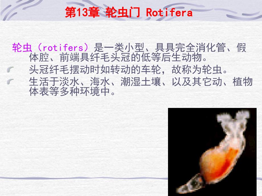 12-17线形-曳鳃_第2页