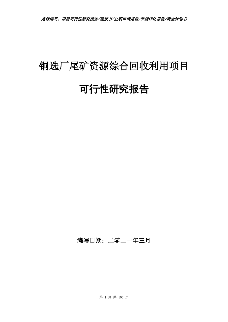 铜选厂尾矿资源综合回收利用项目可行性研究报告写作范本_第1页