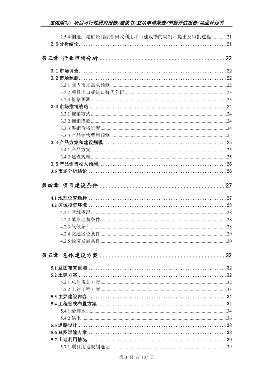 铜选厂尾矿资源综合回收利用项目可行性研究报告写作范本_第3页