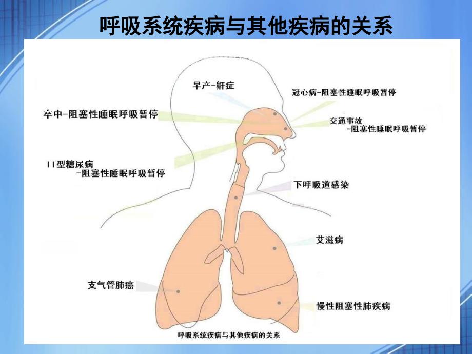 从WHO最近发布的全世界人口全因死亡率排序来看呼吸科医生的使命责任和担当_第3页