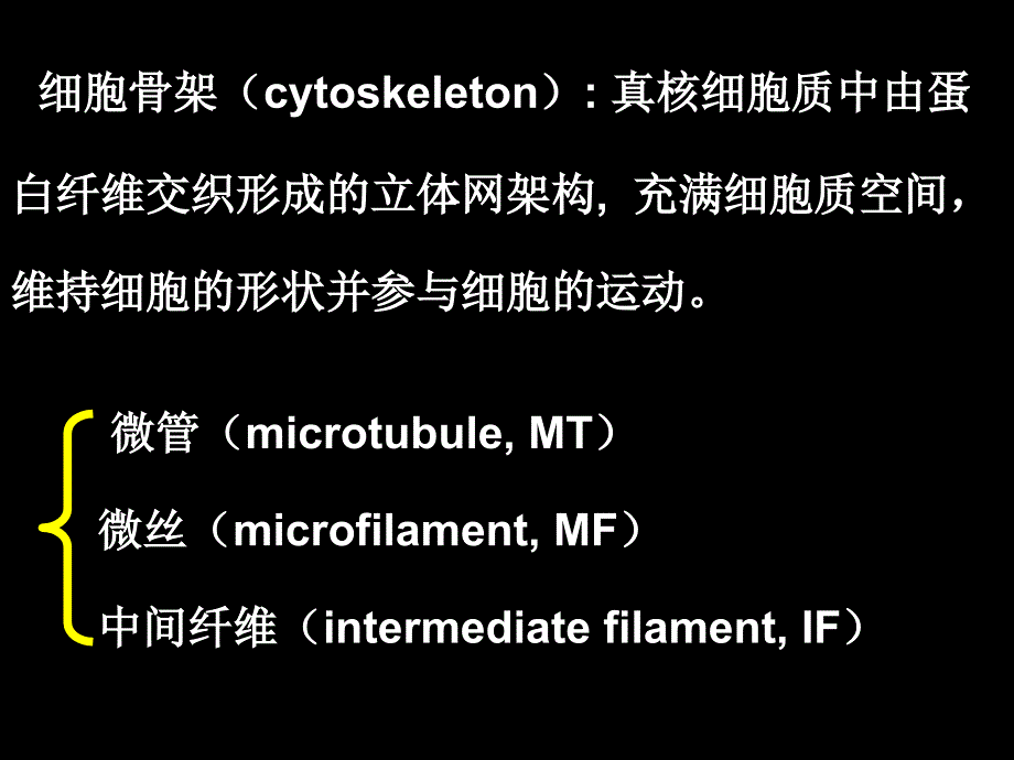 细胞生物学细胞骨架与细胞运动_第2页