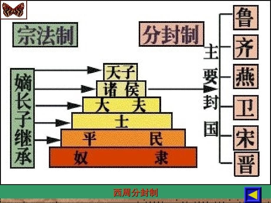 第6课夏商西周的社会与国家课件_第5页