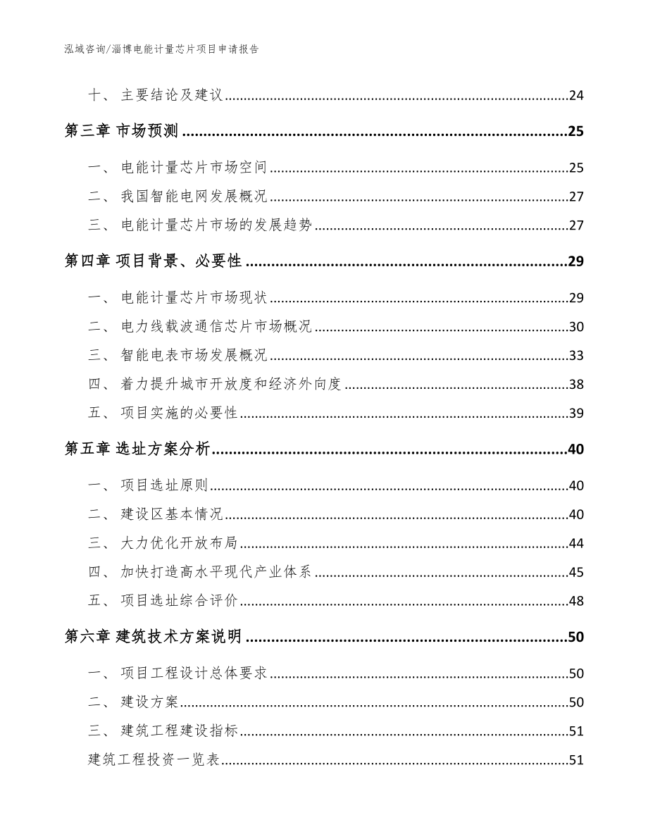 淄博电能计量芯片项目申请报告_第2页