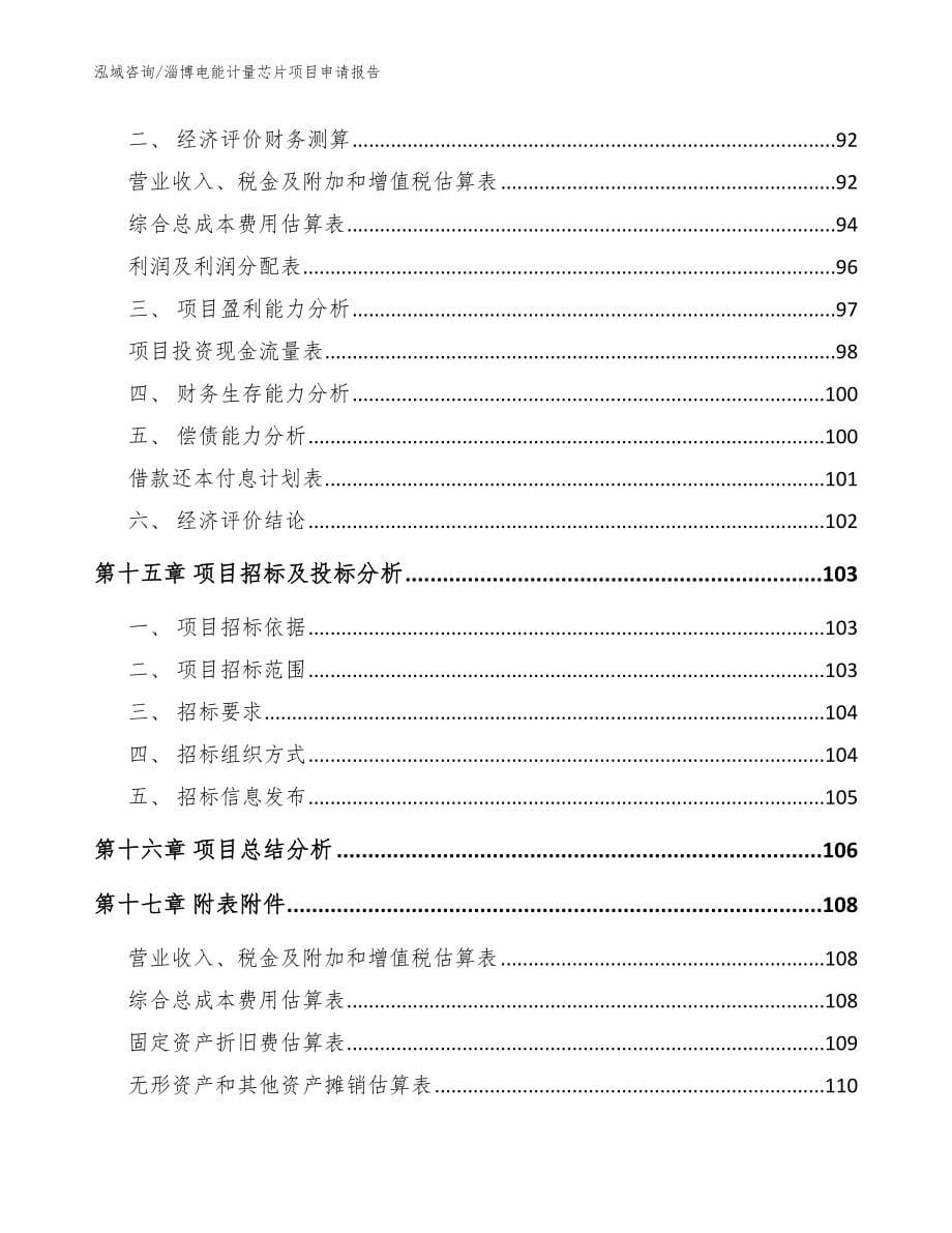 淄博电能计量芯片项目申请报告_第5页