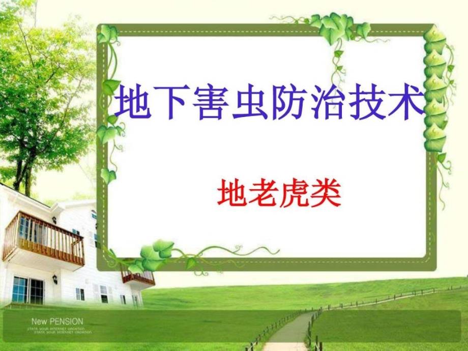 地老虎的综合防治技术图文.ppt41_第1页