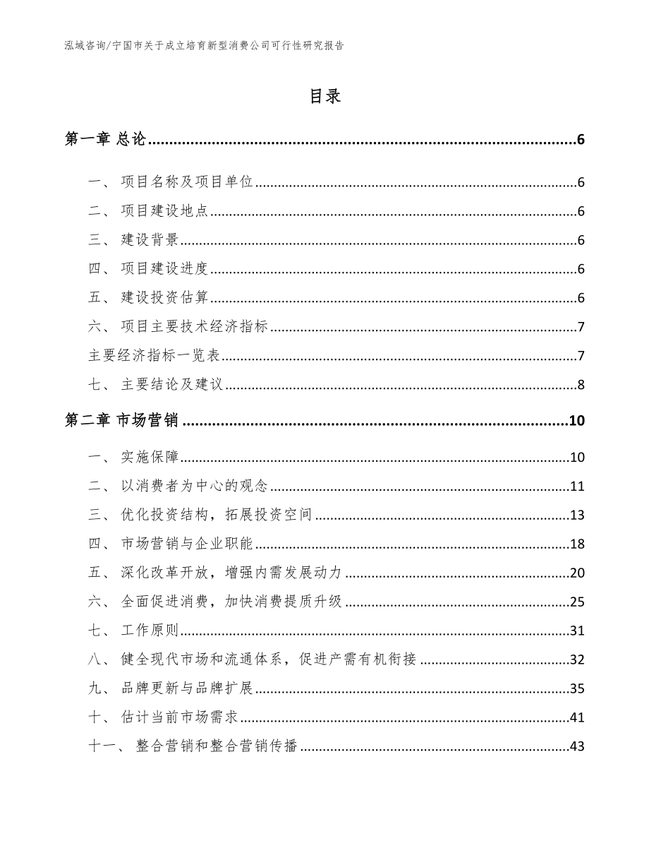 宁国市关于成立培育新型消费公司可行性研究报告_第1页