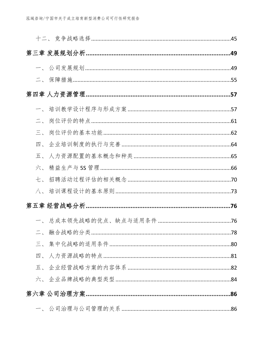 宁国市关于成立培育新型消费公司可行性研究报告_第2页