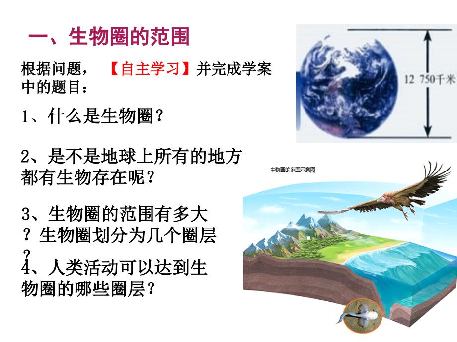 科学&#183;技术&#183;社会　生物圈Ⅱ号 (3)_第4页