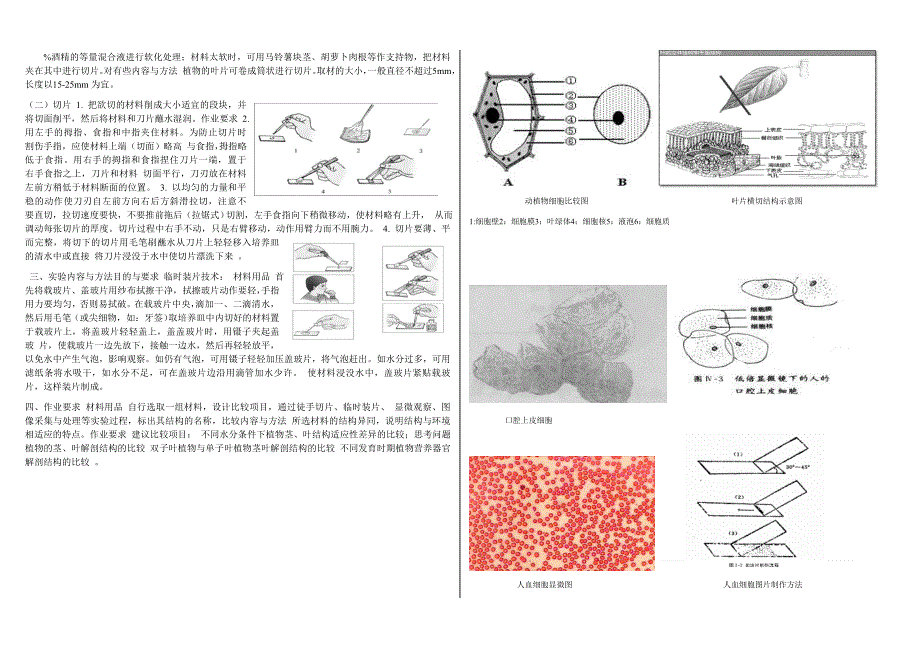 推荐初中生物实验细要_第2页