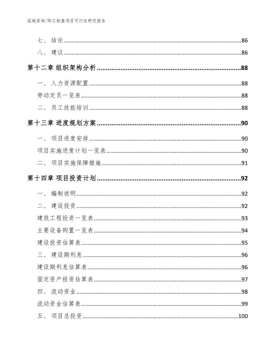 阳江桩基项目可行性研究报告【模板范本】_第5页