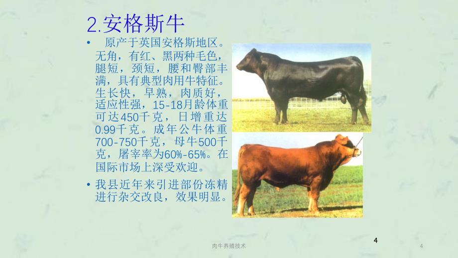 肉牛养殖技术课件_第4页