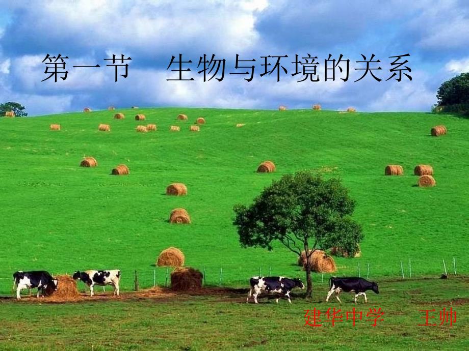 生物与环境的关系课件_第1页